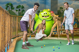 Mini Golf Experience